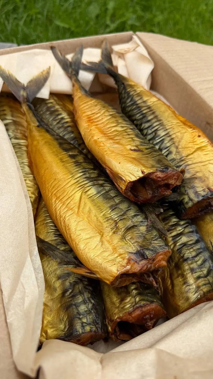 💚🐟 СКУМБРИЯ ПО ОСОБОЙ ЦЕНЕ! 🐟💚