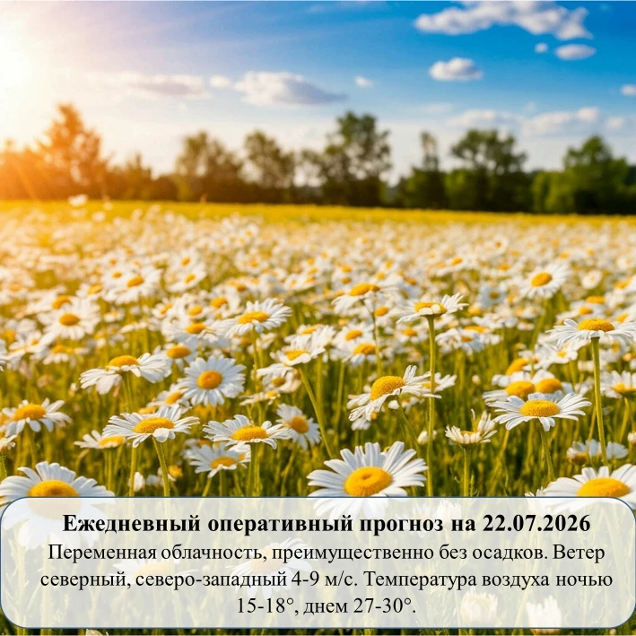 На основании ежедневного оперативного прогноза от ГКУ «ТЦМ»
#НижнийТагил #ЕДДС #Погода