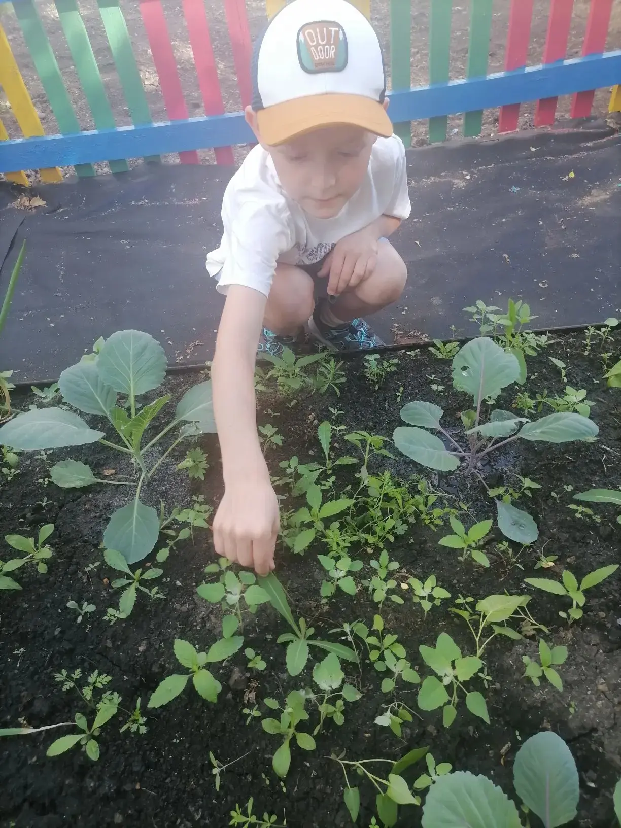 ☀️ Летние будни группы «Солнышко»: наш маленький огородный подвиг!

Пока мамы и папы на работе, мы т