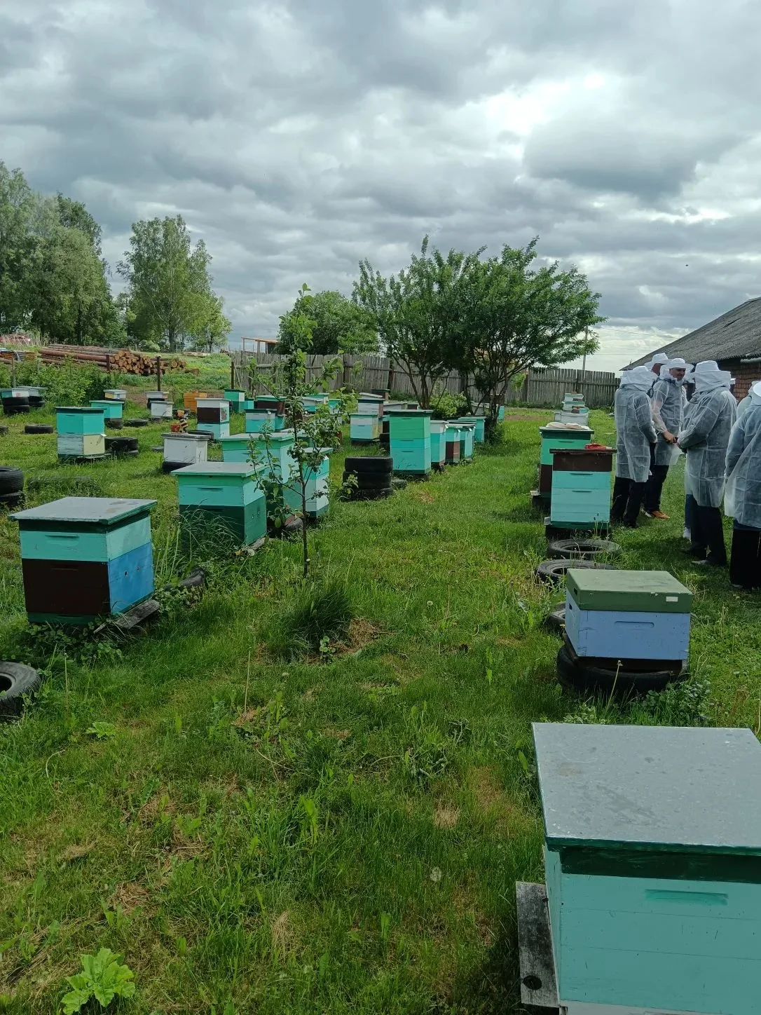 Комитет ветеринарии Новгородской области на базе ФГБОУ "Новгородский институт переподго...
