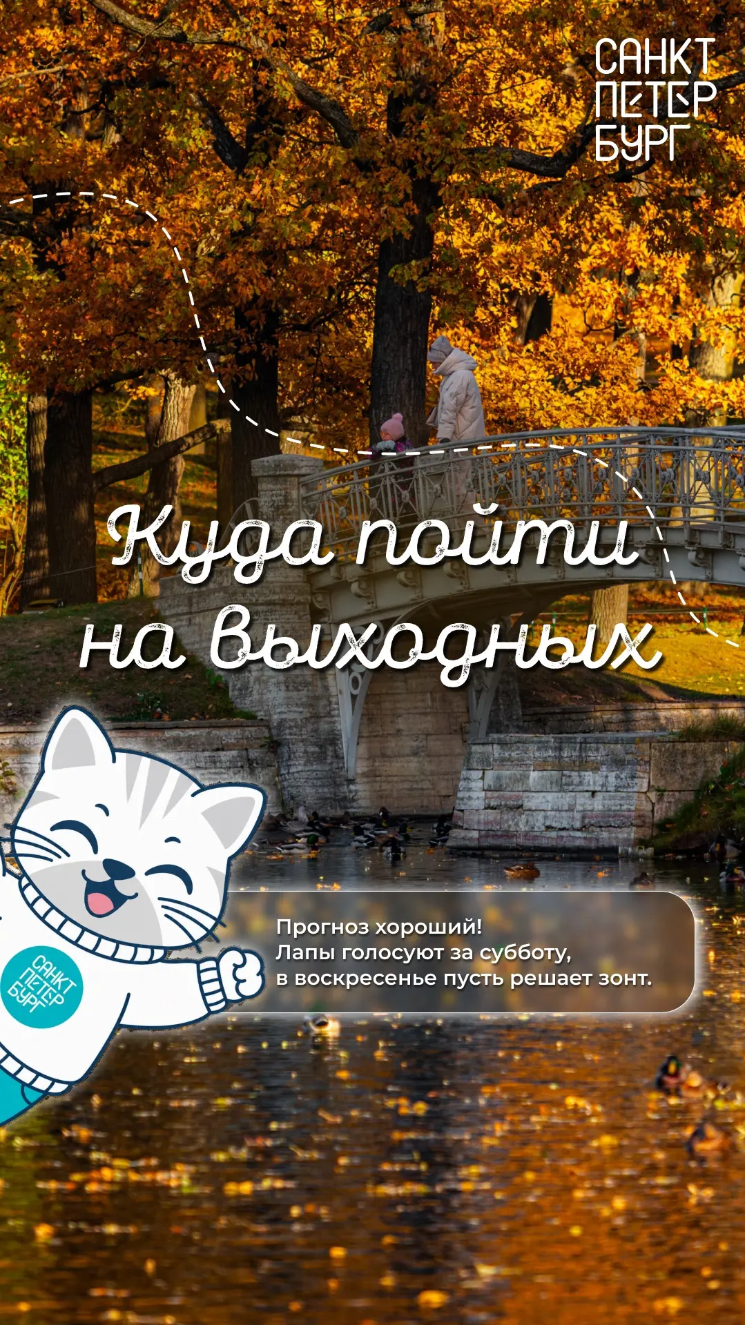В Петербурге заметно похолодало, однако выходные порадуют хорошей погодой. По прогнозу ...