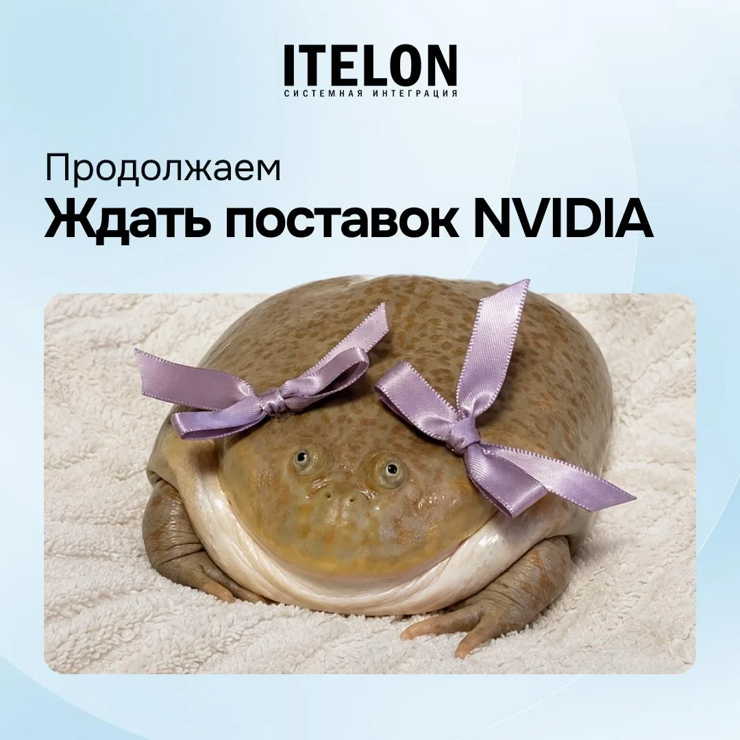 #обзор_itelon