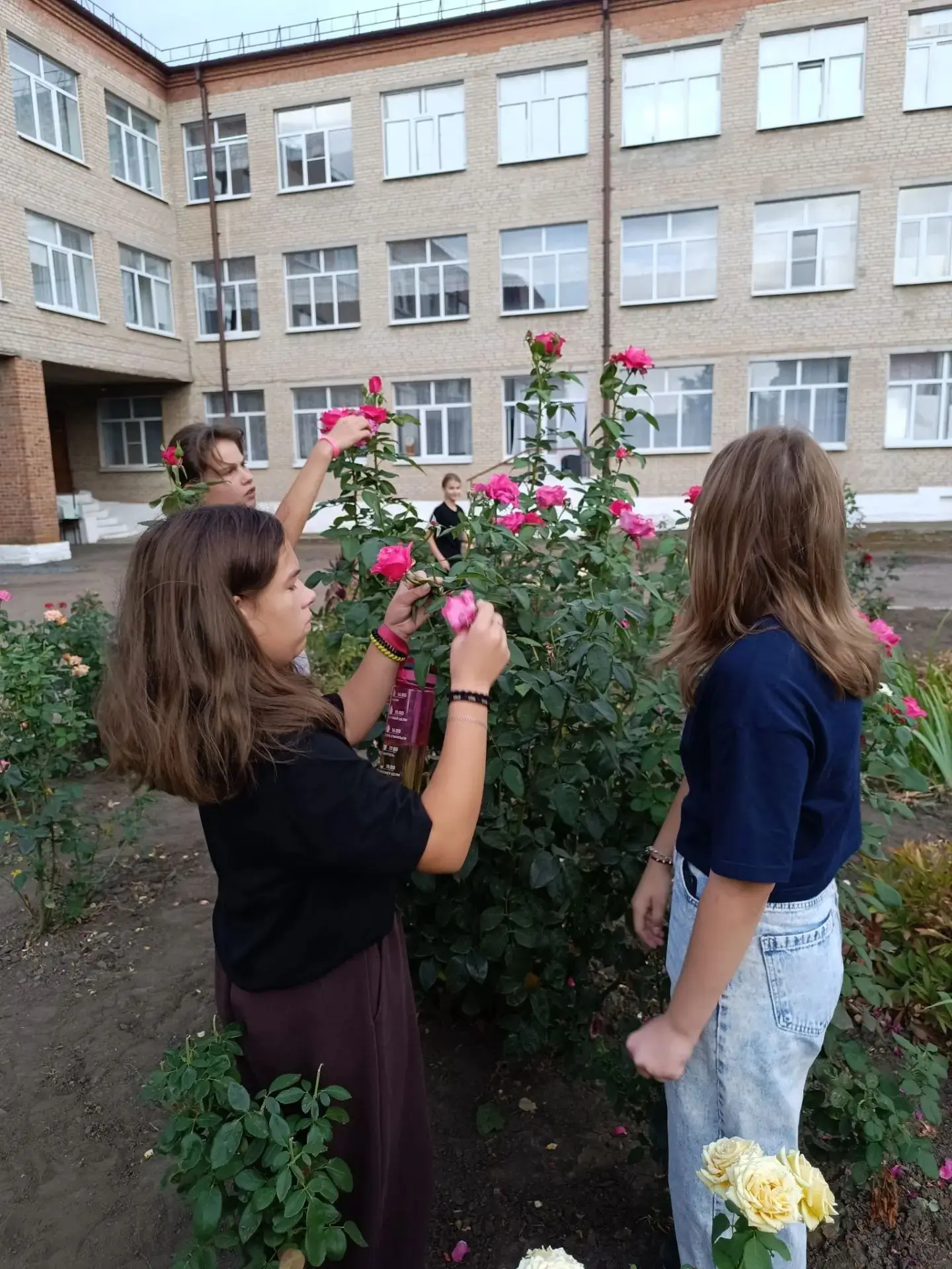 🌟Сегодня, 6 сентября, вся Ростовская область отмечает День Добрых Дел! И наши ученики ...