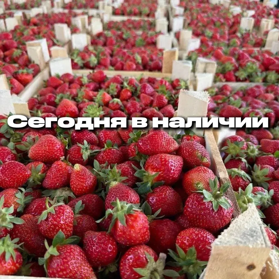 🍓 СВЕЖИЕ ЯГОДЫ УЖЕ ЖДУТ 🔥