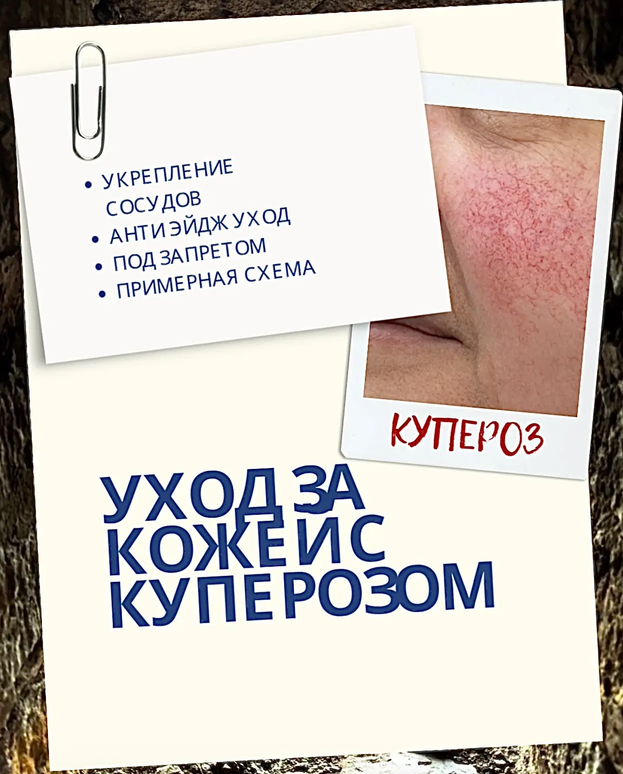 ✅Укрепление сосудов и барьера: