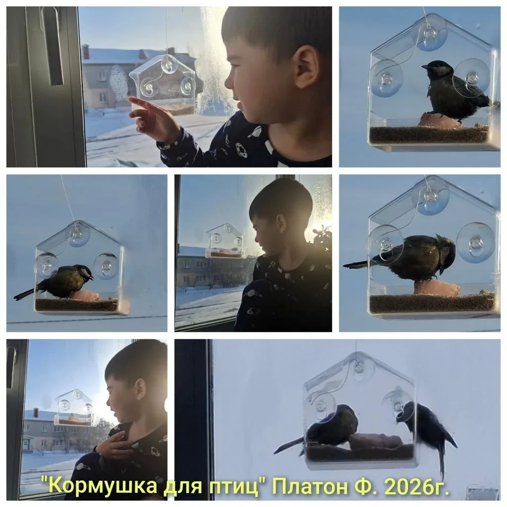 Акция "Помоги птицам пережить зиму".