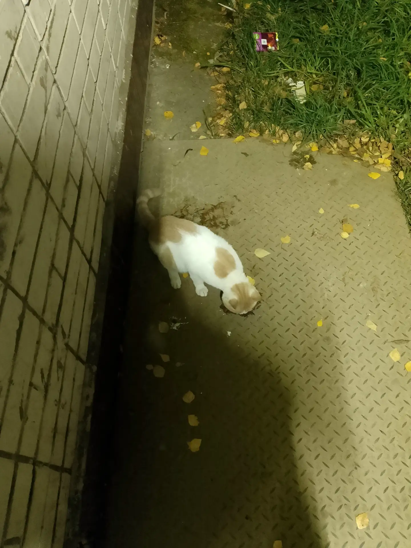 Срочно репосты!!!