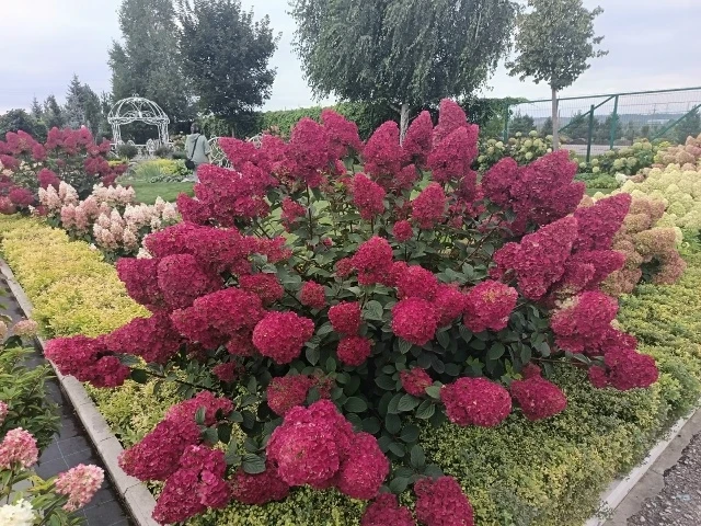 СНОВА В ПРОДАЖЕ