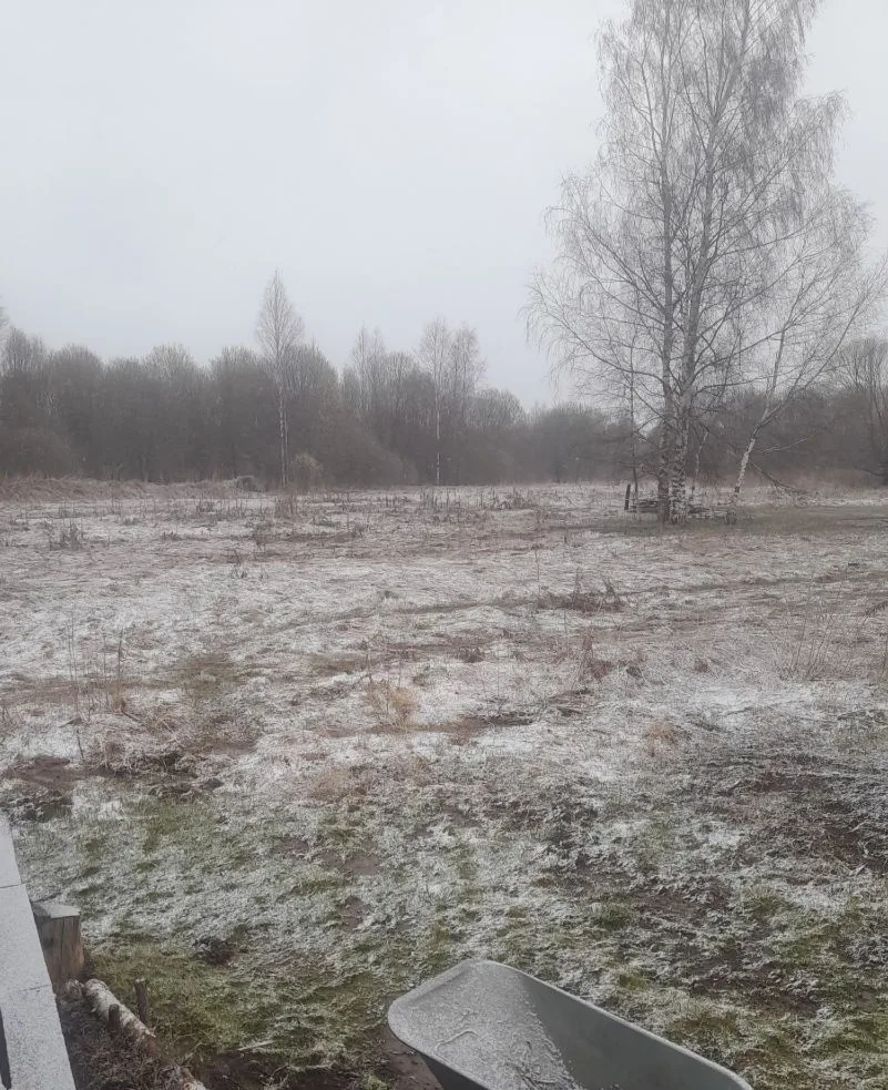 Ну где же ты весна?