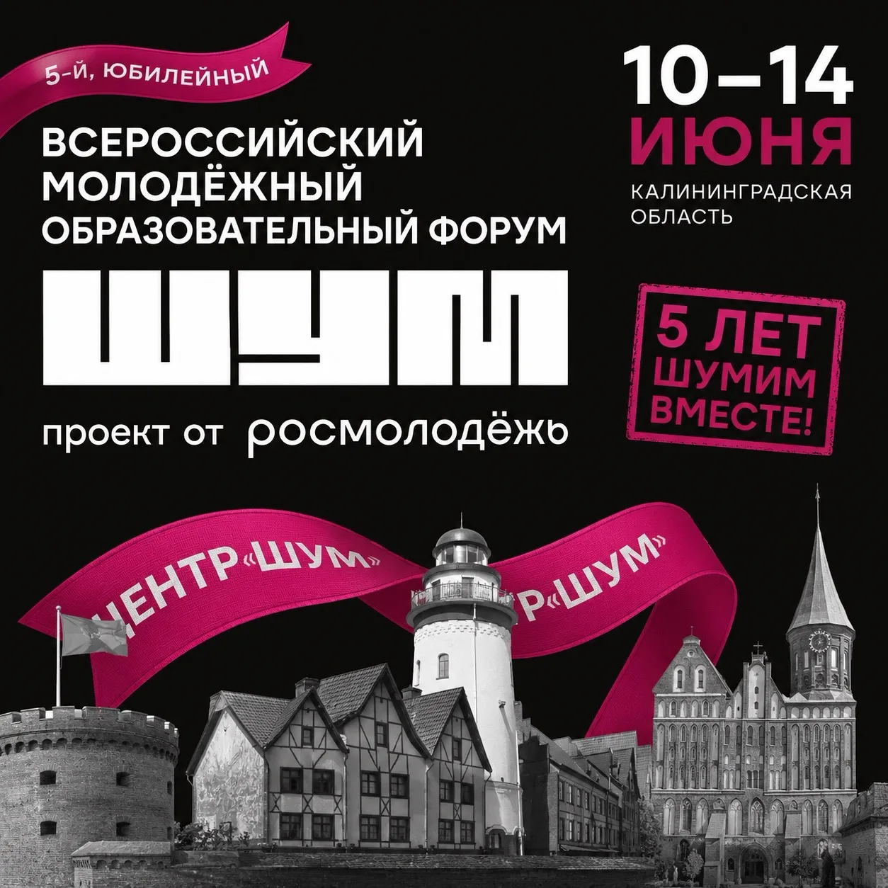 ДГПУ им. Р. Гамзатова примет участие в юбилейном Всероссийском форуме «ШУМ»🔥

✨В период с 10 июня п
