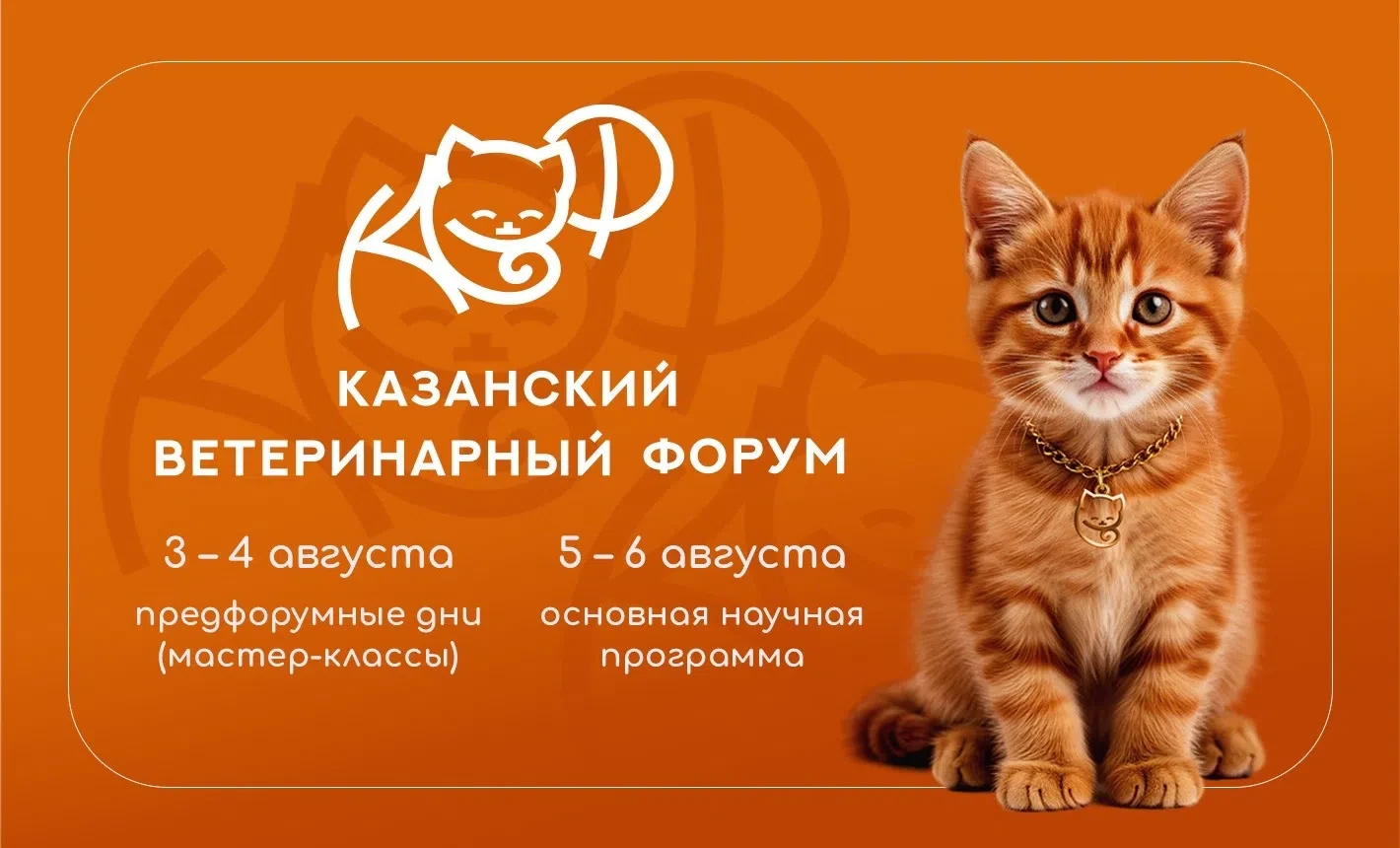 ✅ Nota bene

Что-то летне-ветеринарное, волжско-освежающее и эчпочмако-ароматное.

Друзья, пока мы в