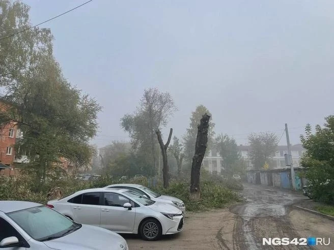 🌫 Утренний туман в Кемерове не связан с выбросами
