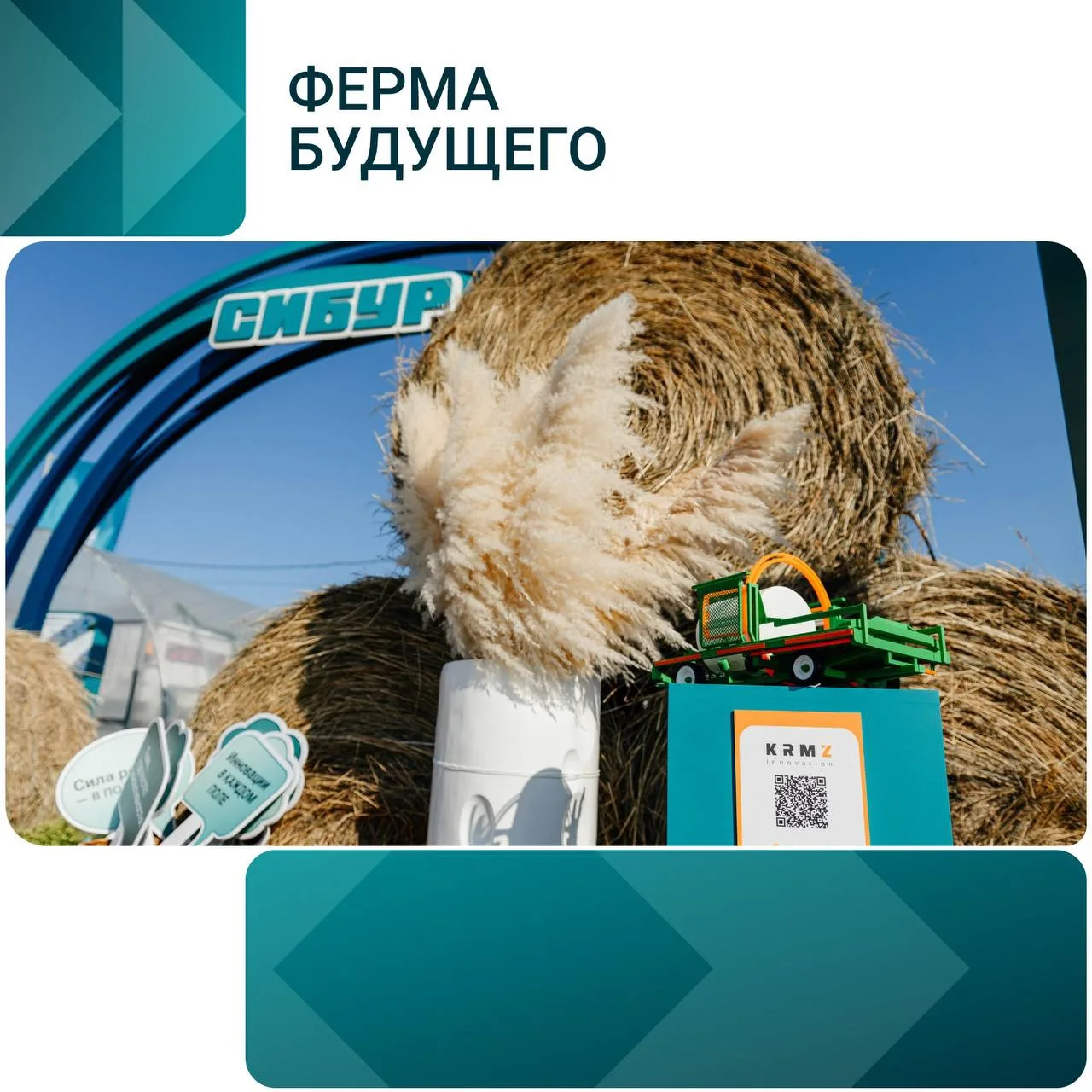 Домики для телят, рукава для корма и капельный полив