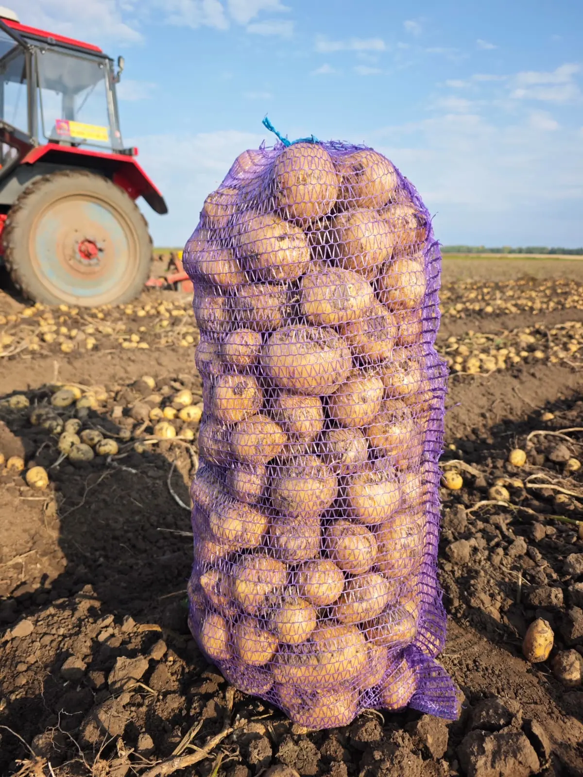 🥔ГОРНОМАРИЙСКАЯ картошка со своего поля