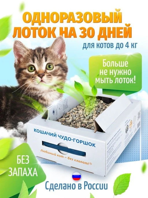 Девочки-кошатницы, этот пост точно для вас — ну и для ваших пушистых величеств, конечно 😼

Так вот,