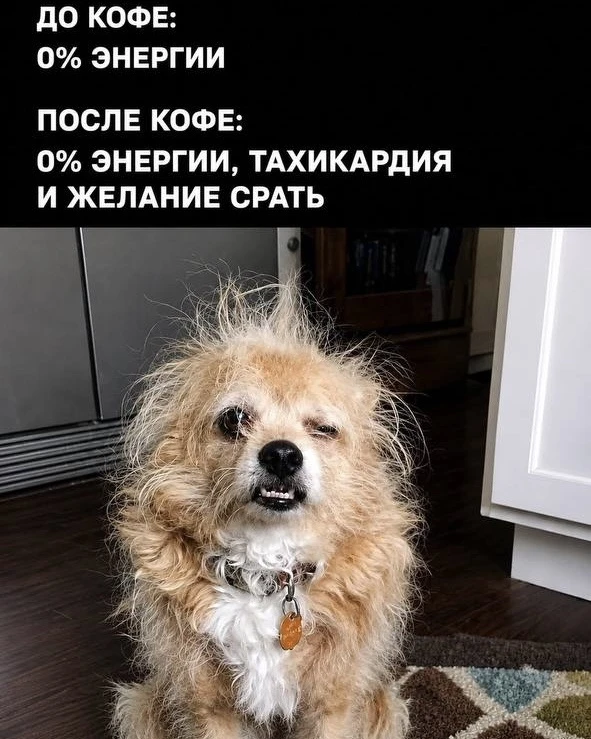 Я не я, без чашечки кофе!

Кто ещё?
🍑 Я
😎 Не я