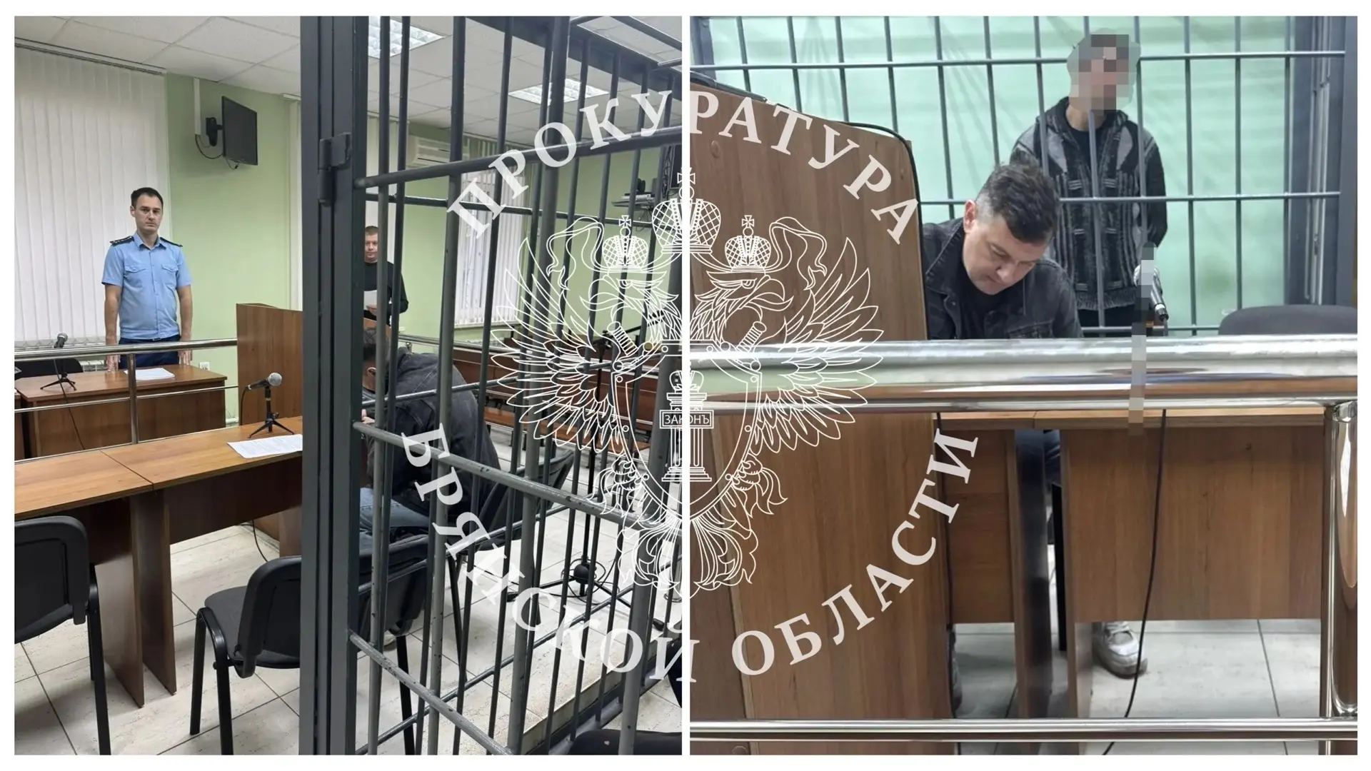 Обвиняемый в убийстве знакомого житель п. Мичуринский с учетом позиции прокуратуры заключен под стра