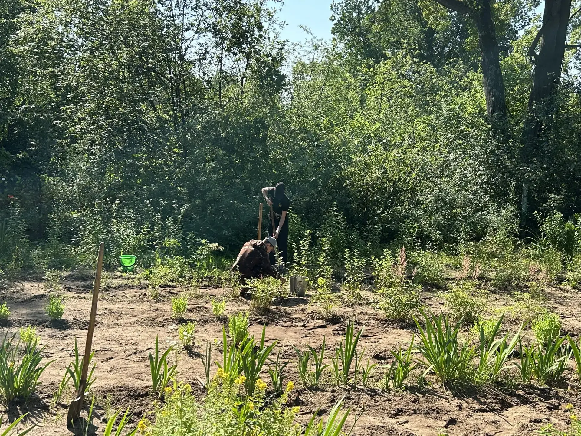 🌱 Продолжается работа на пришкольном участке! 🌼

На этой неделе учащиеся 7Б и 9А совместно с педаг