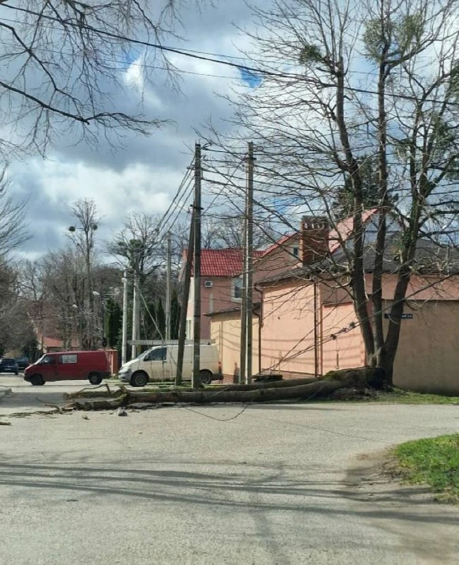 Неофициальное штормовое предупреждение на завтра 💨