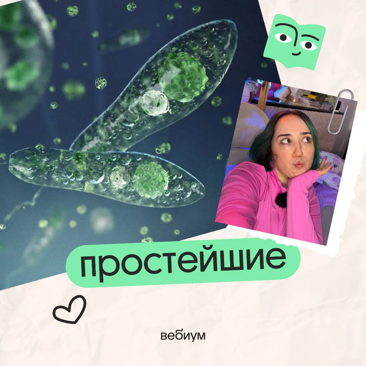 ПРОСТЕЙШИЕ ❤️ 
‼️сегодня вместе разберёмся с этим подцарством — узнаем, как они живут и питаются!

❤