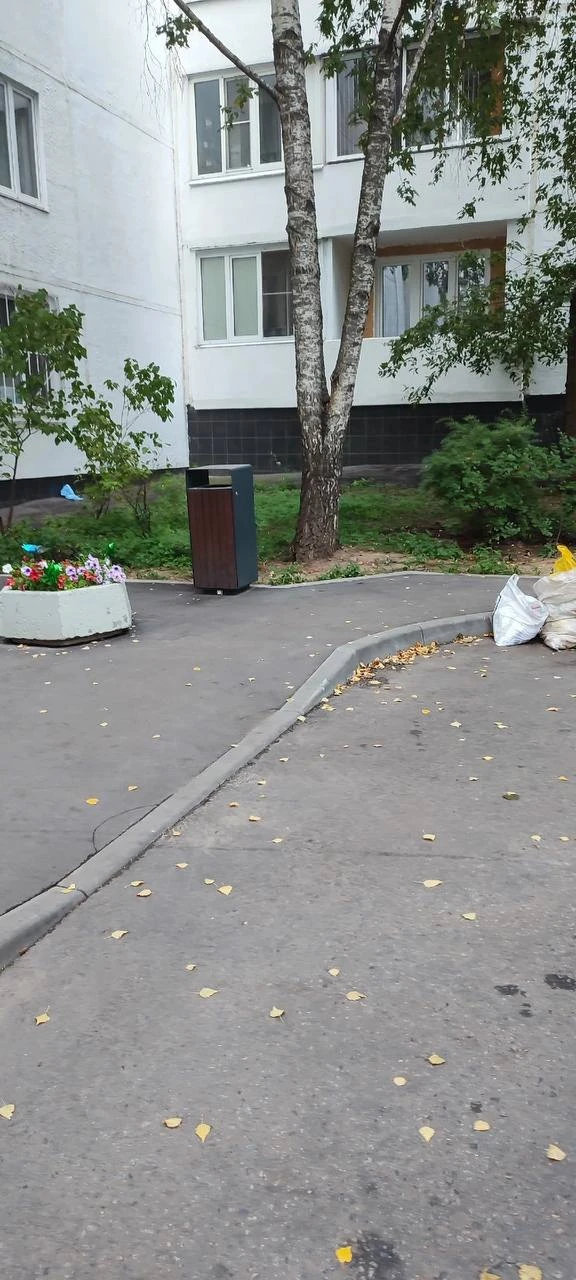 Подписчик пишет, что на Твардовского, 5к8, мусорные баки ставят прямо у восьмого подъезда.