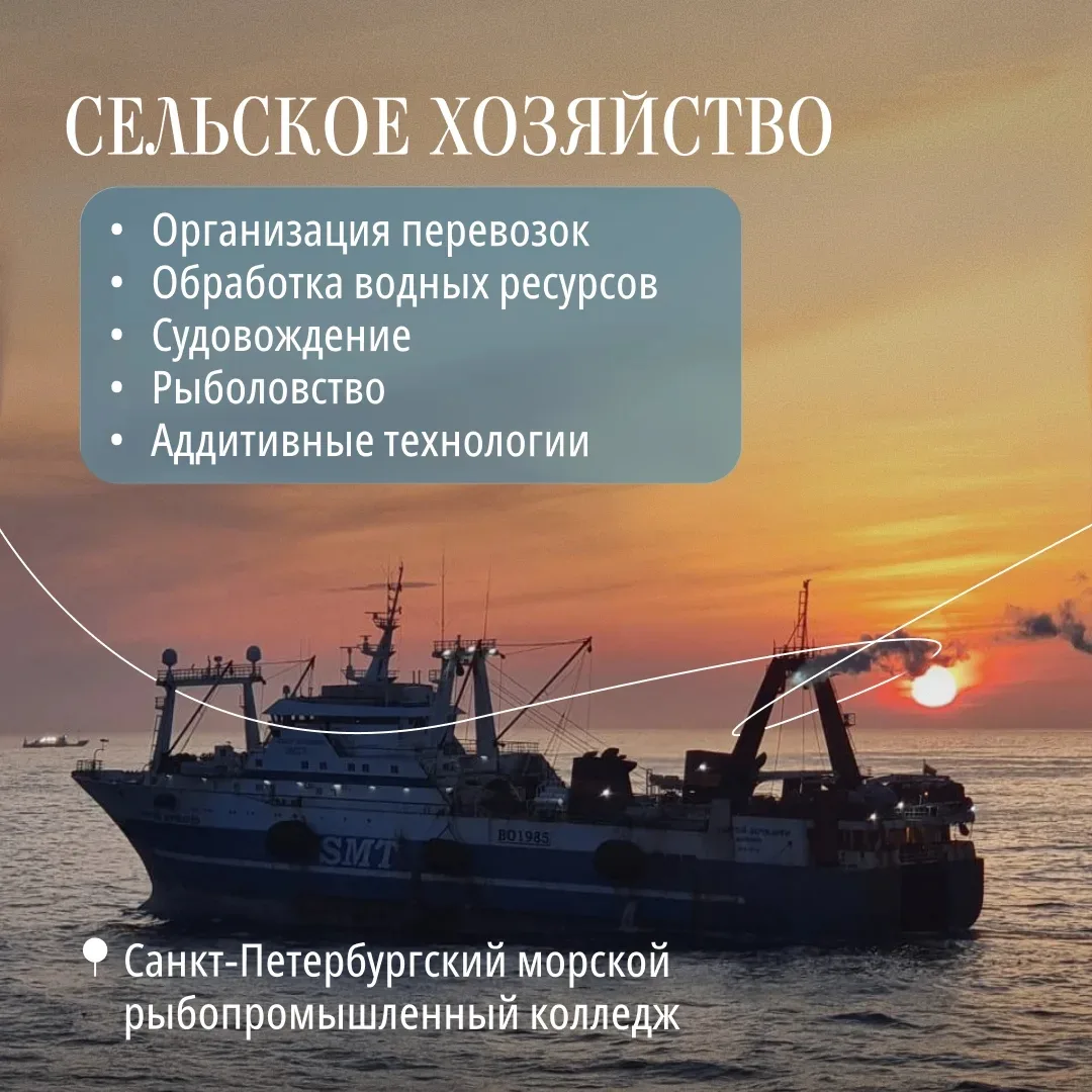 После 9 класса важно определиться с дальнейшим маршрутом — где учиться и на кого. Можно остаться в ш