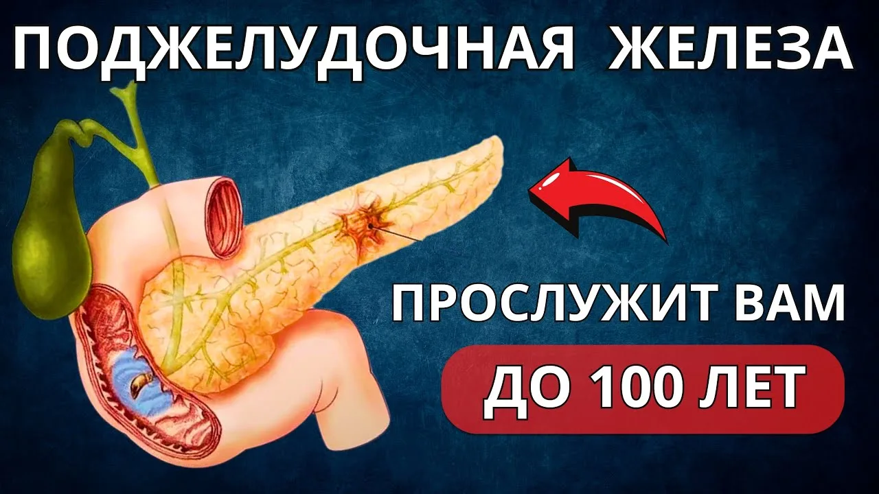 Что действительно полезно для поджелудочной железы? 🤔