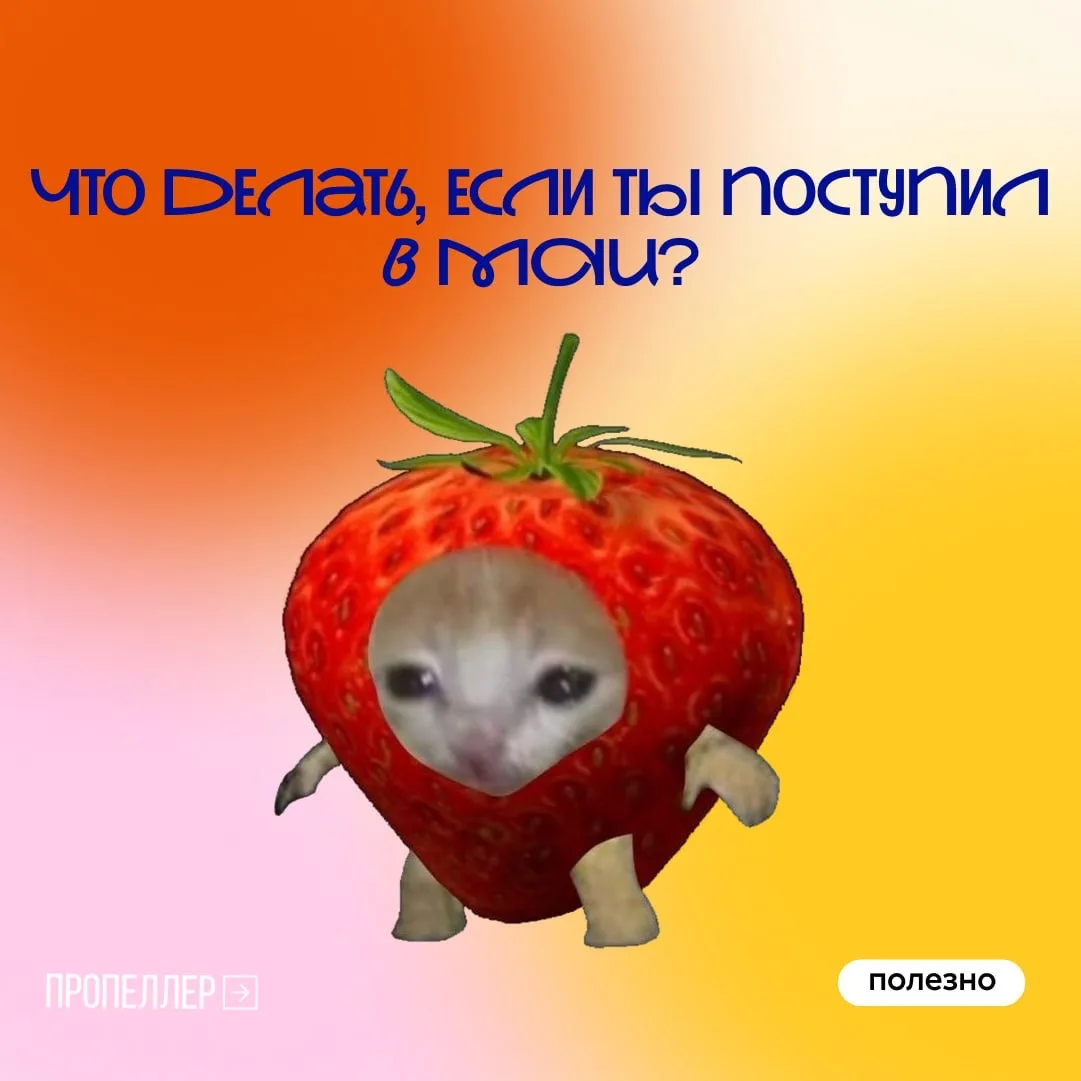 🤍 Если вы увидели свою фамилию в приказе о зачислении — поздравляем!