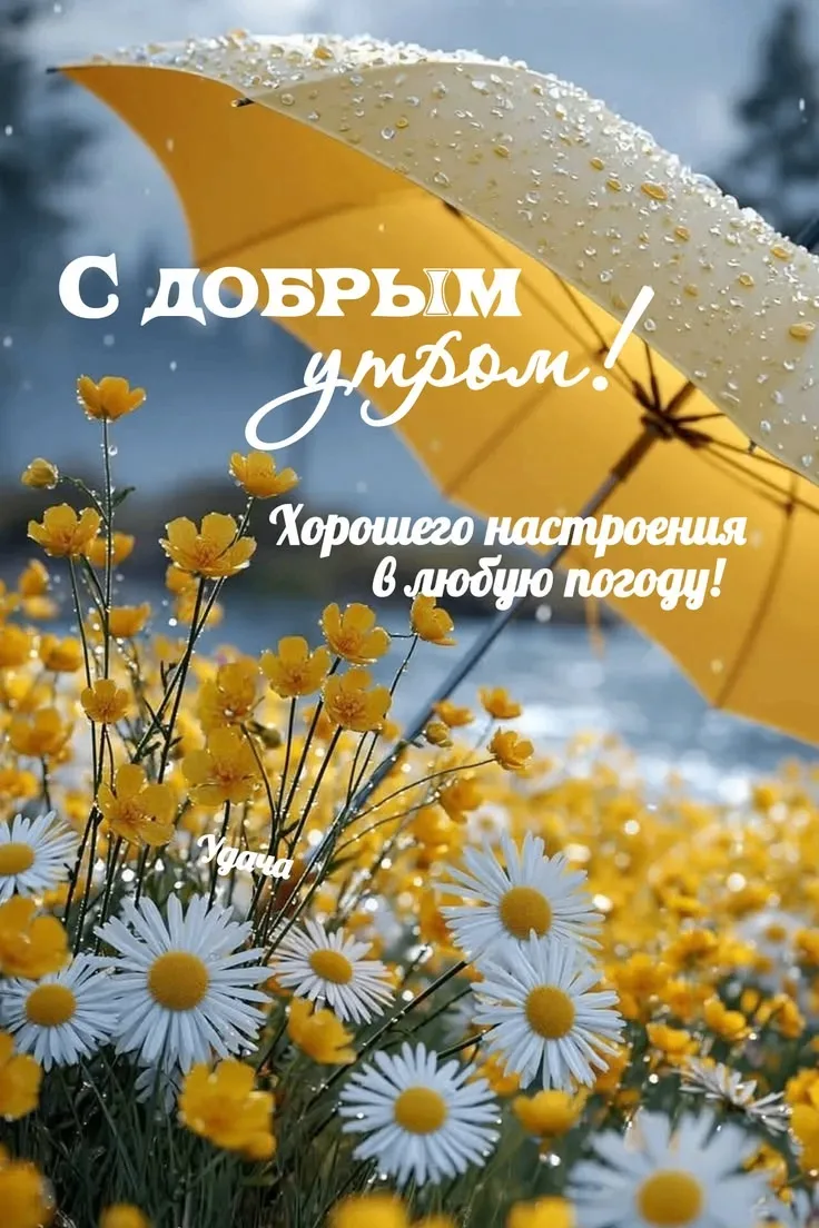 ☕ВСЕМ доброе утро.