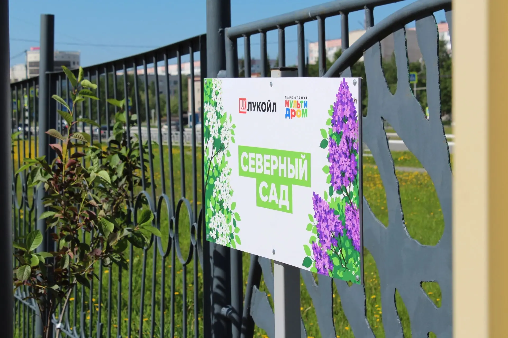 «Хор Турецкого» оставил в Усинске не только память о своём выступлении. В «Северном саду» знаменитый