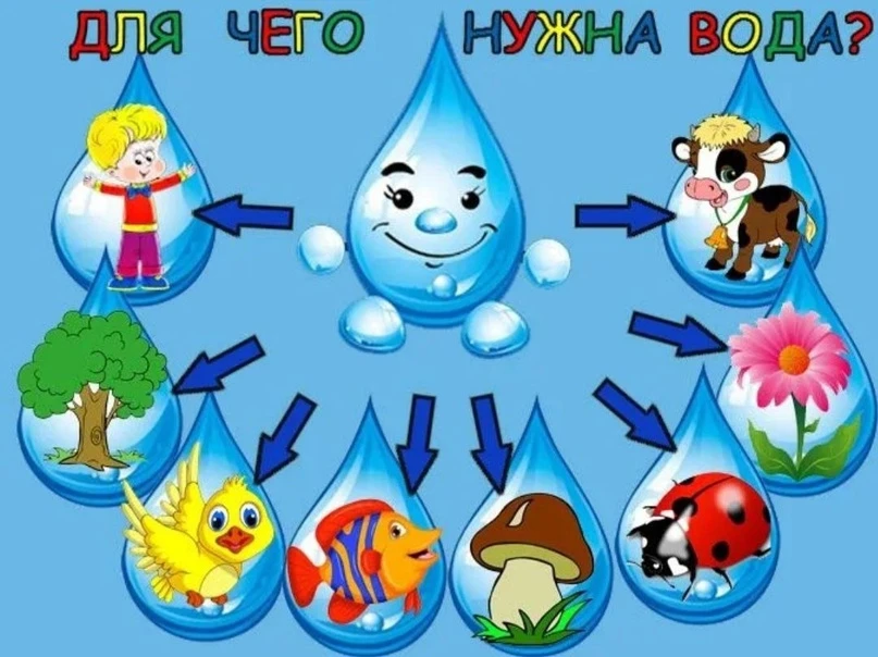 "Откуда в кране вода." Под таким названием сегодня в нашем д/с прошел познавательный ур...