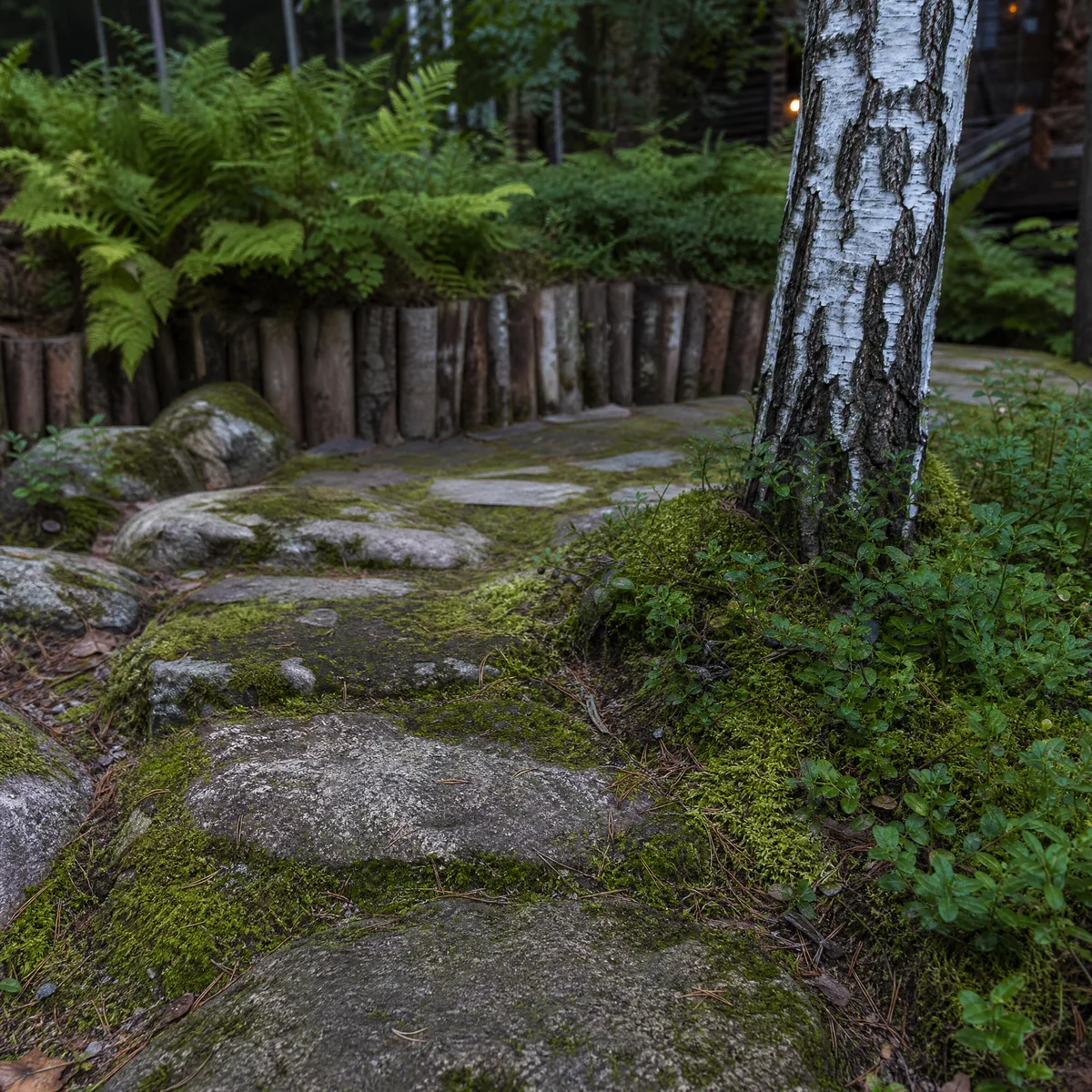 Скандинавский сад в Подмосковье: когда хочется тепла, а не парада 🔥🌲Замучили розарии,...