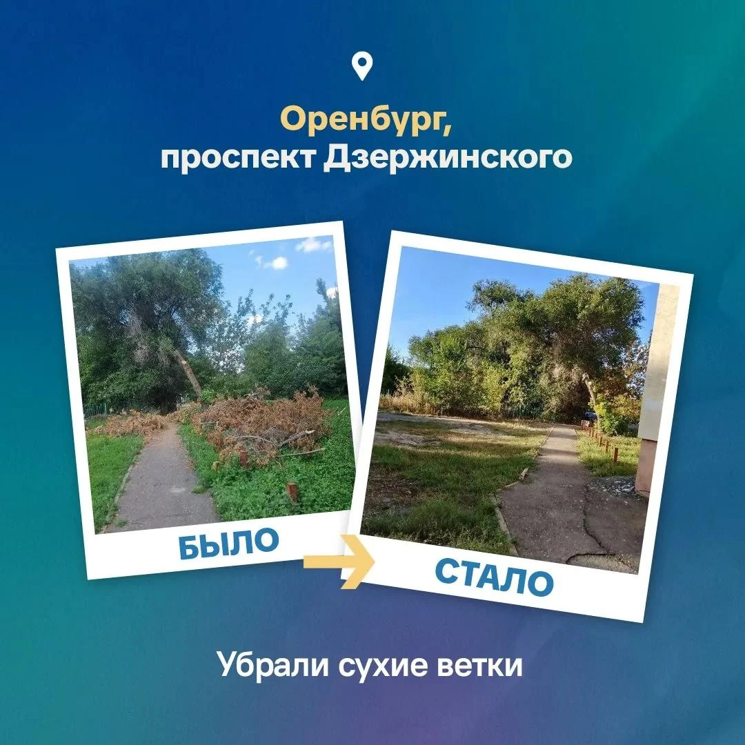 ✅ Решаем вопросы с помощью Госуслуг