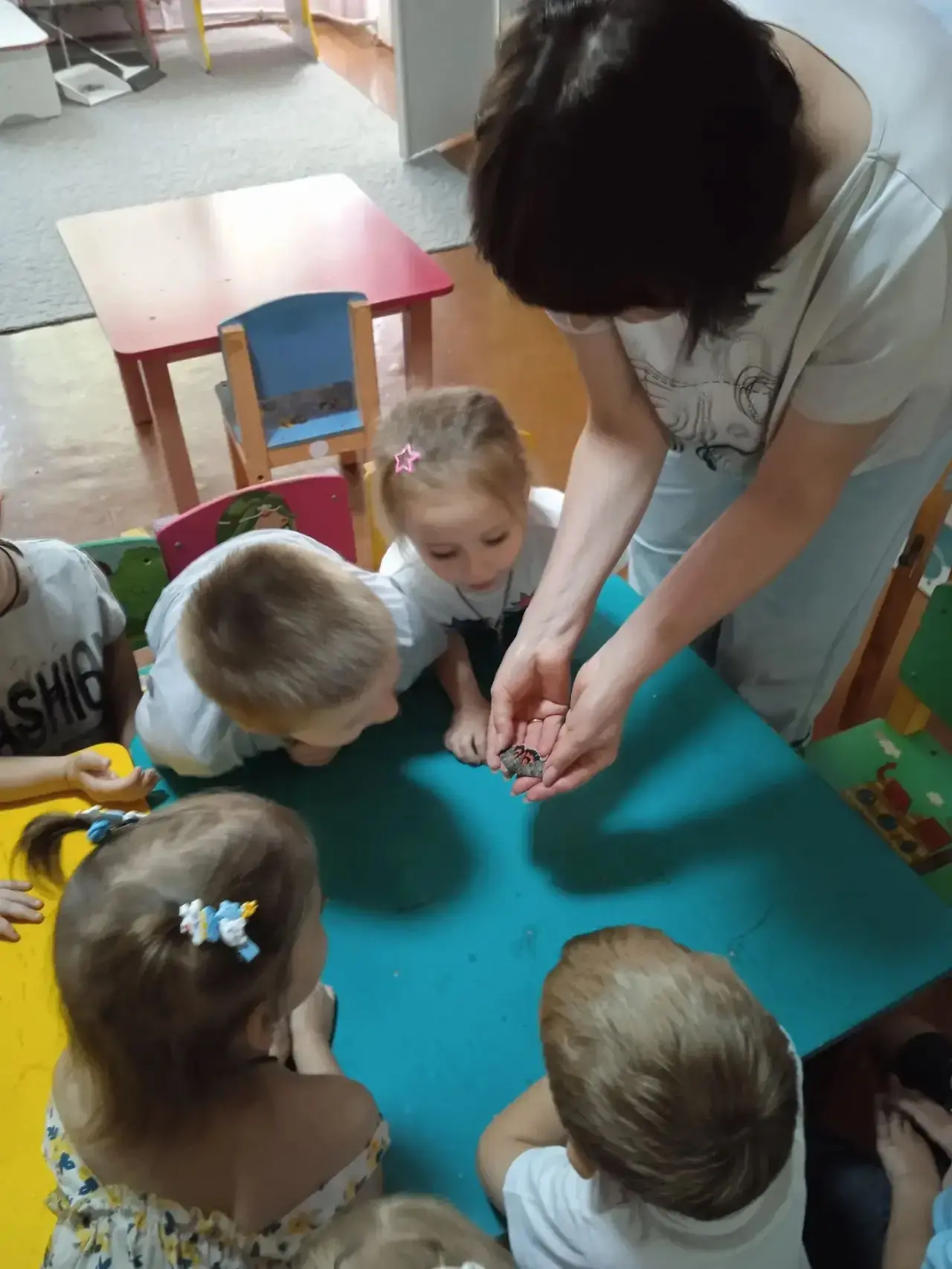 Лето — прекрасное время, чтобы наблюдать за природой и знакомить детей с удивительным миром насекомы
