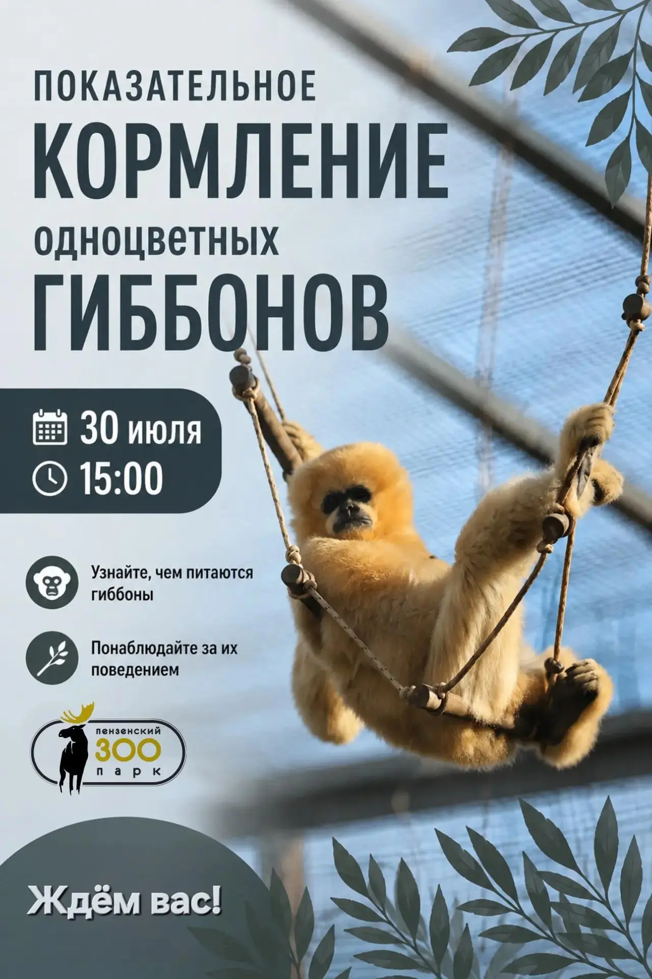 🌺 Дорогие друзья!

Приглашаем вас на показательное кормление одноцветных гиббонов, которое состоитс
