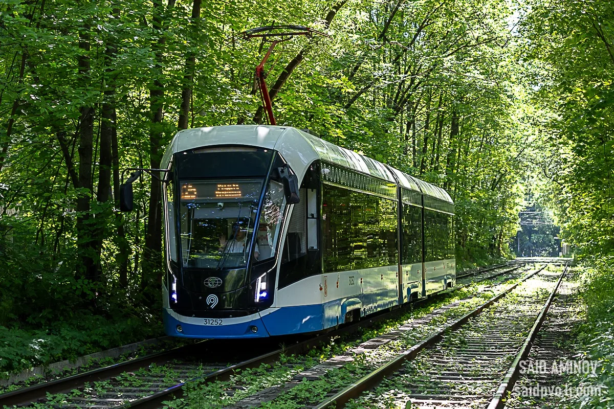 Трамваи утопают в листве 🌿