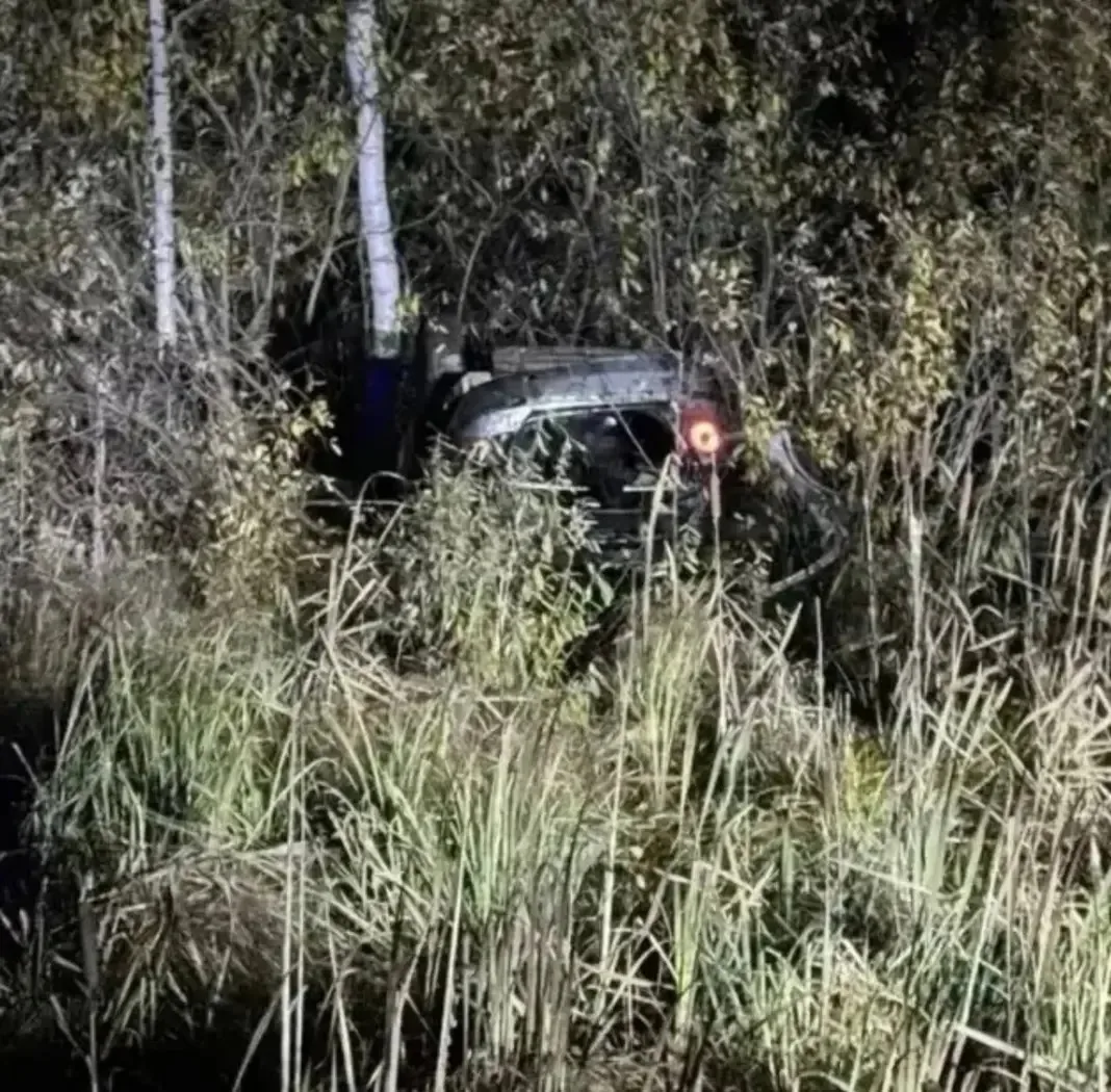 2 миллиарда рублей долгов по алиментам взыскали в Петербурге