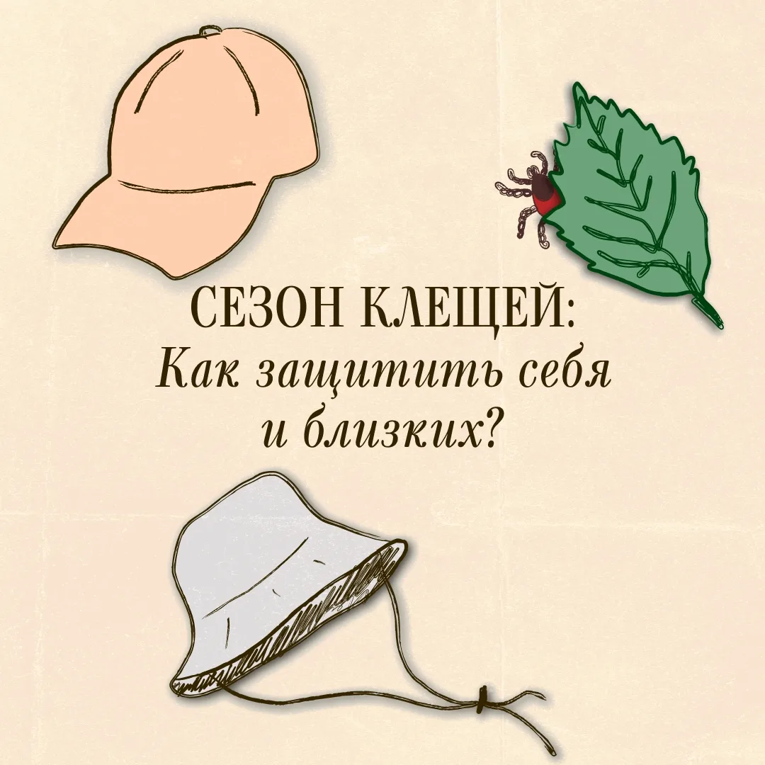 Весной начинается сезон активности клещей.