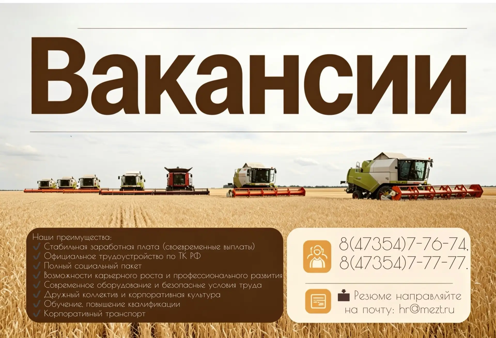 Дорогие друзья и будущие коллеги!