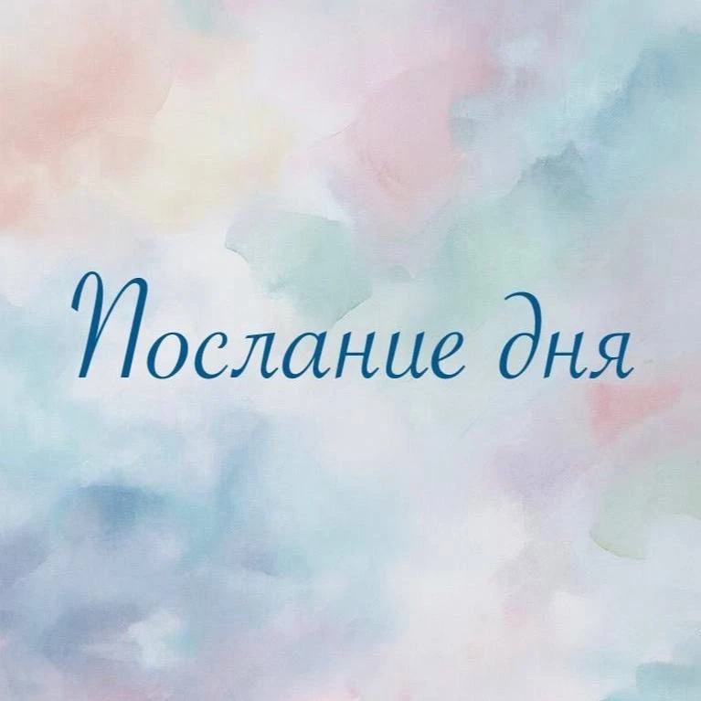 ✨