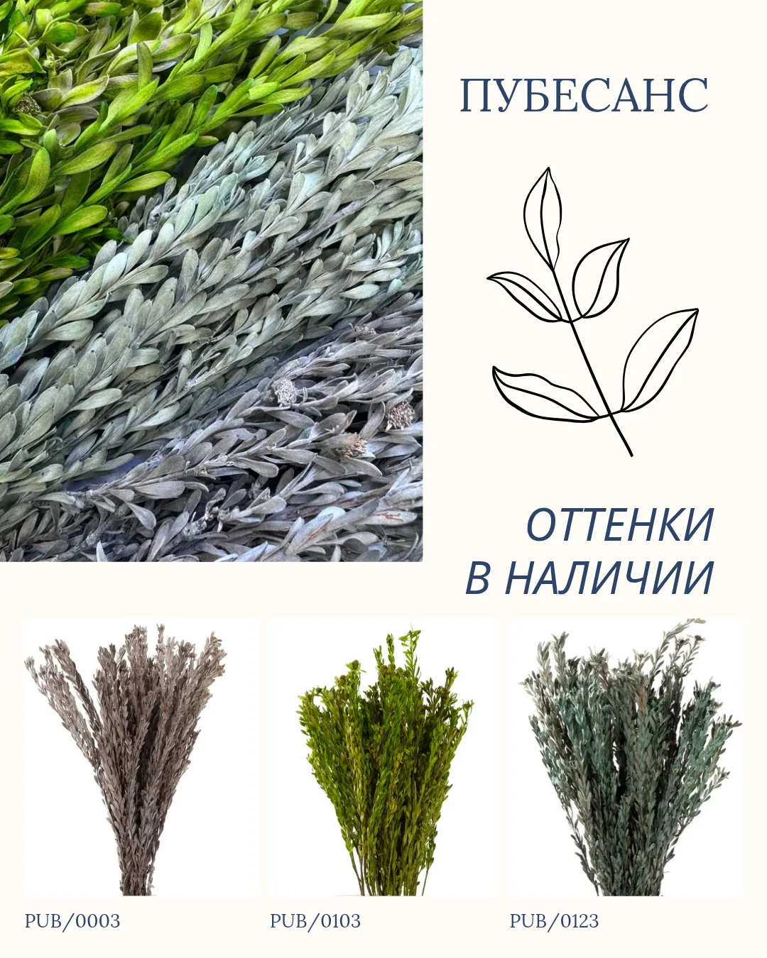 🌿 Графика и стиль в каждой ветке: стабилизированный пубесанс