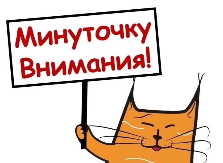 Отдел организации отдыха и оздоровления детей информирует о предварительной записи на отдых в осенни