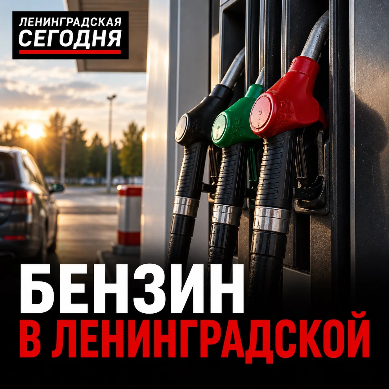 ⛽️ Бензин в Ленинградской на утро 8 сентября