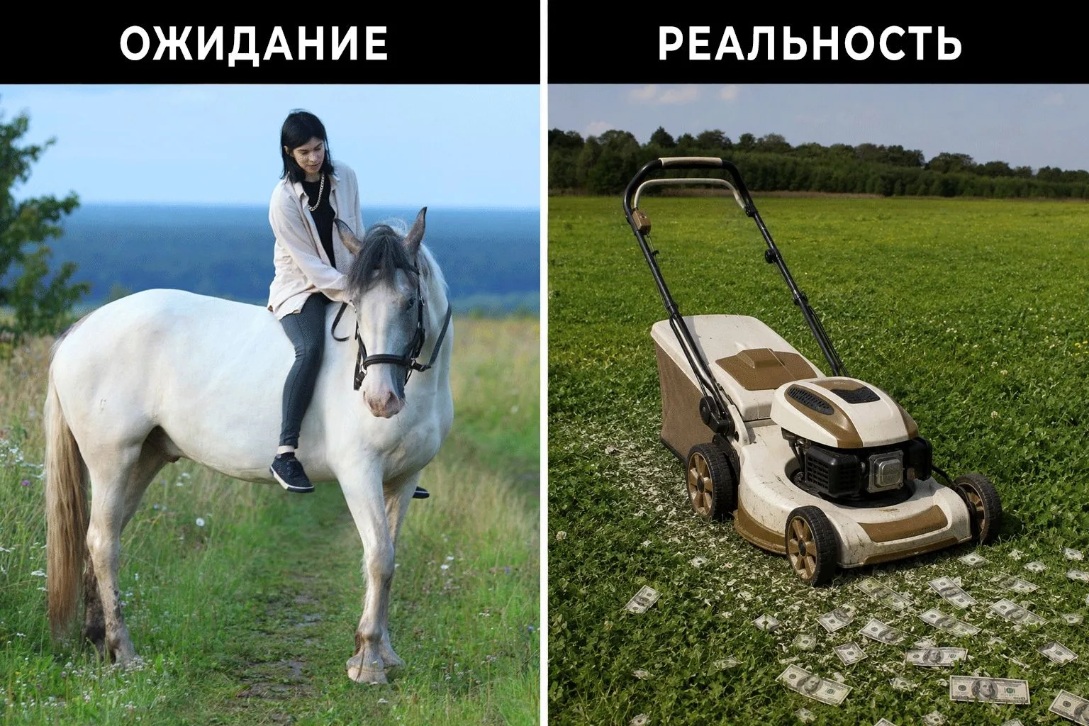 Заехала в пвз за солью для коня. Забрала розовый гималайский брусок за семьсот рублей. ...