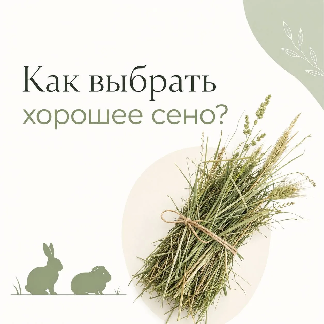 🐰Для кроликов, морских свинок, шиншилл и дегу свежее сено должно быть доступно постоян...