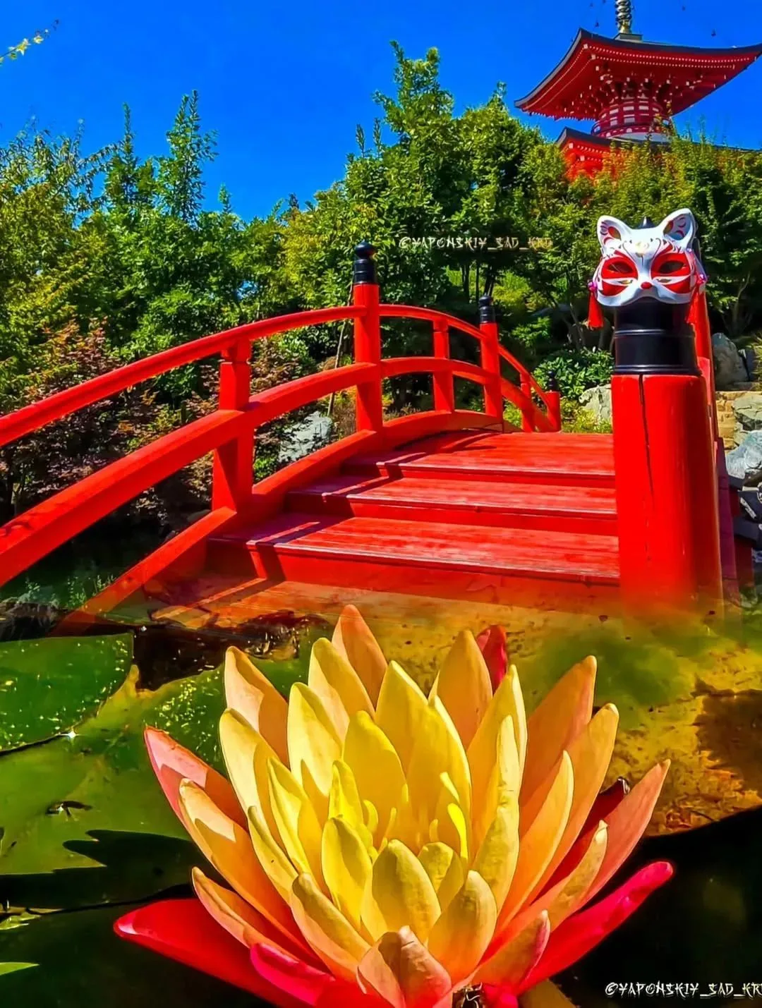 Друзья! 🌿🎎🎭🪭

В японском саду проходят интересные мастер-классы, наполненные атмосферой творчест