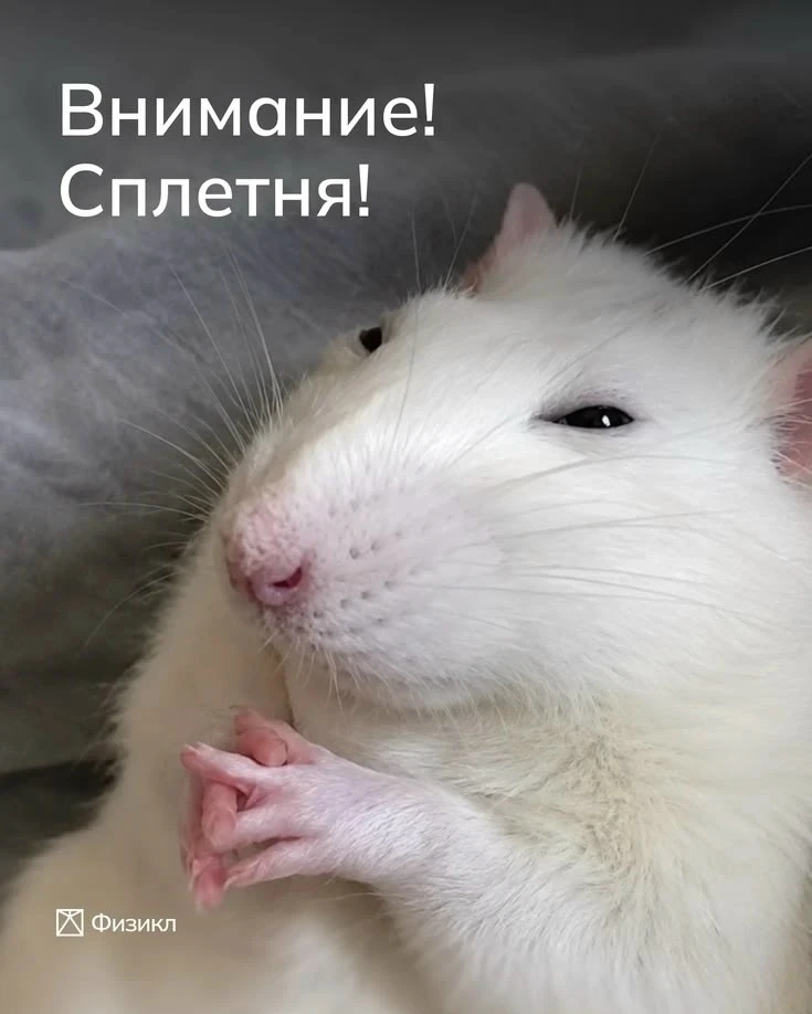 Помощник в бухгалтерию