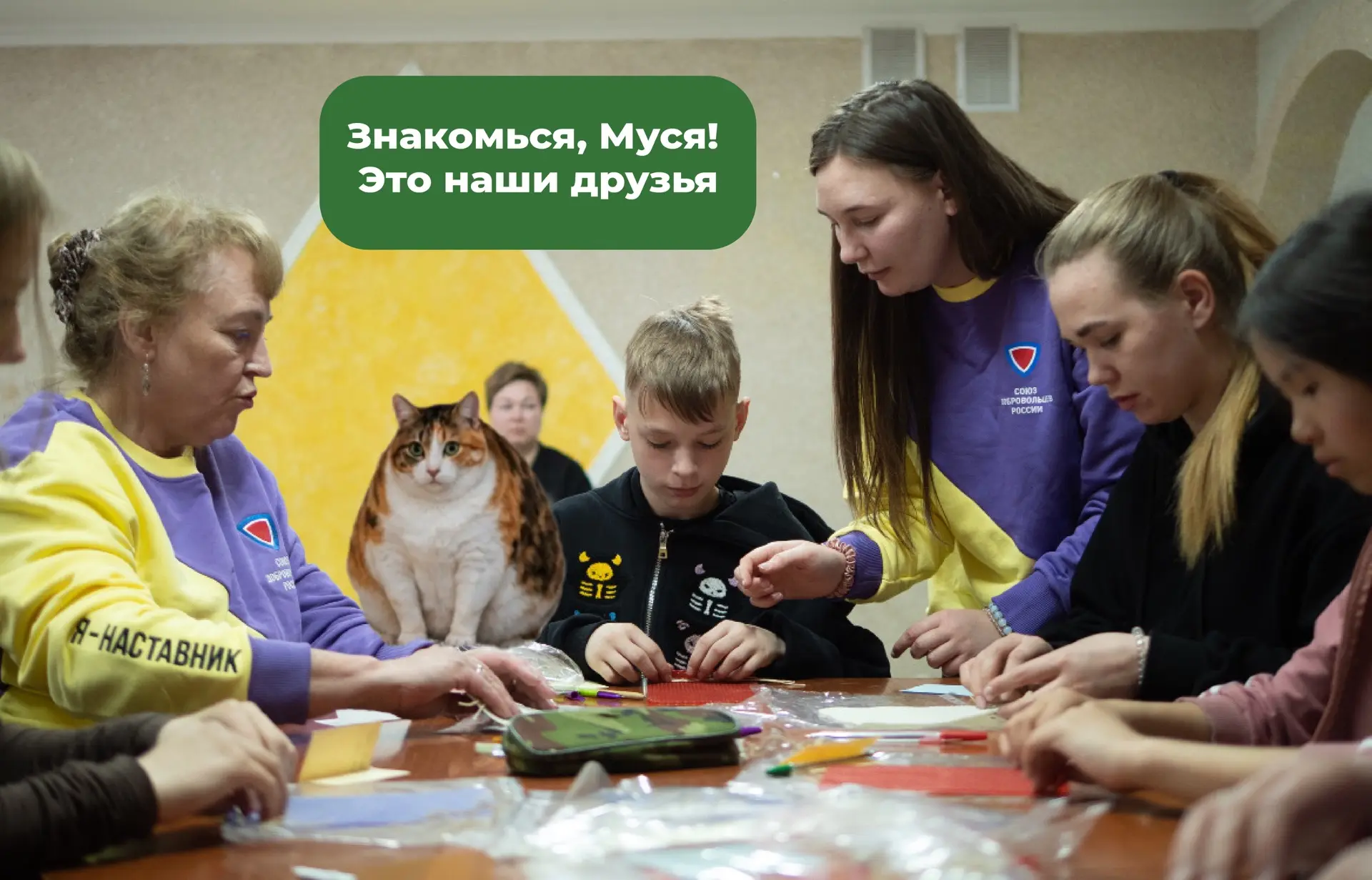 🐈 Муся, это ты в гостях у «Наставничества»?