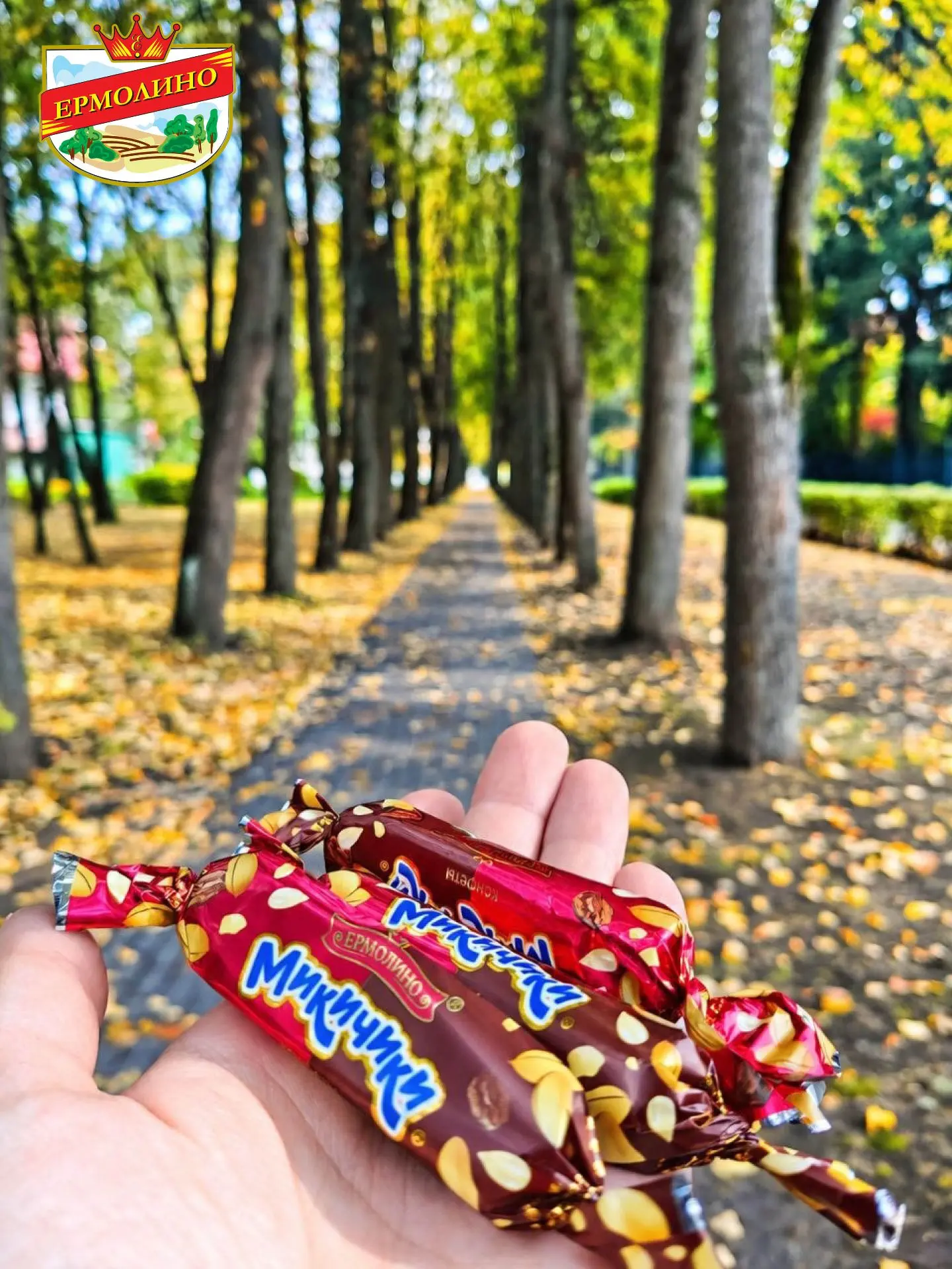 По дороге с конфетами «Микичики»
