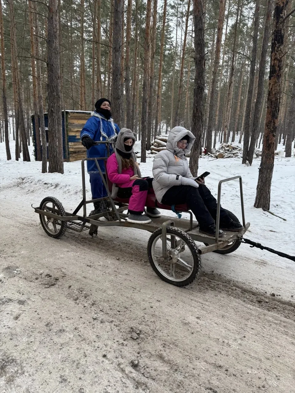 Новогодний привет от 4а класса!🎄 Ребята посетили "Маламут центр". Покатались на собачьих упряжках, п